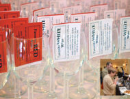 Fauquier County Wine Tasting & Competition
