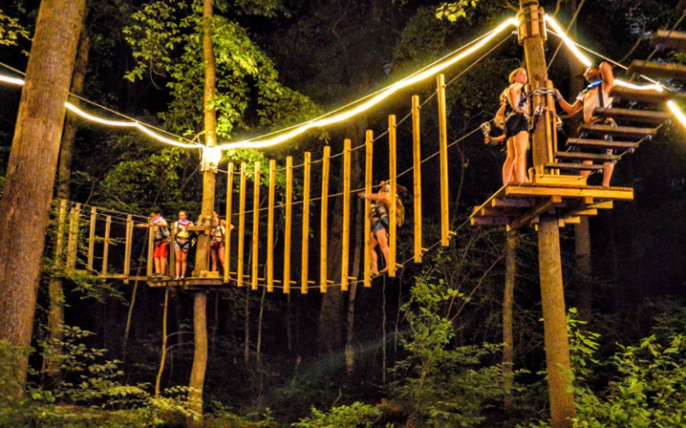 25 Of The Most Fun Things To Do in DC this November - District Fray