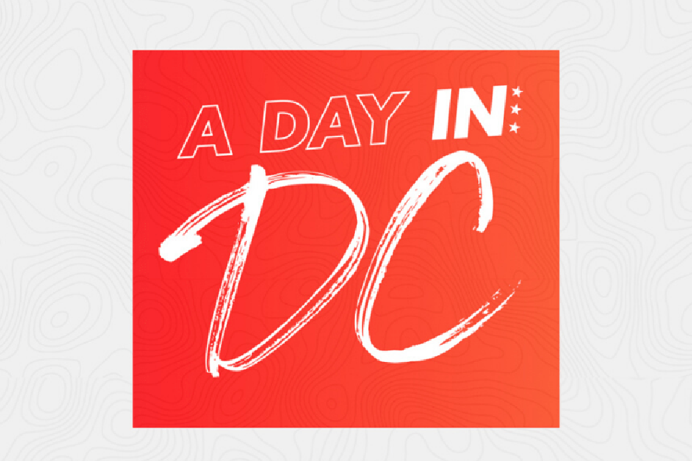 Brightest Young Things' A Day in DC Logo.