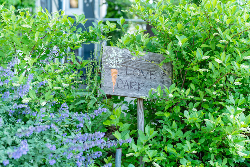 Love and Carrots sign in DC urban garden