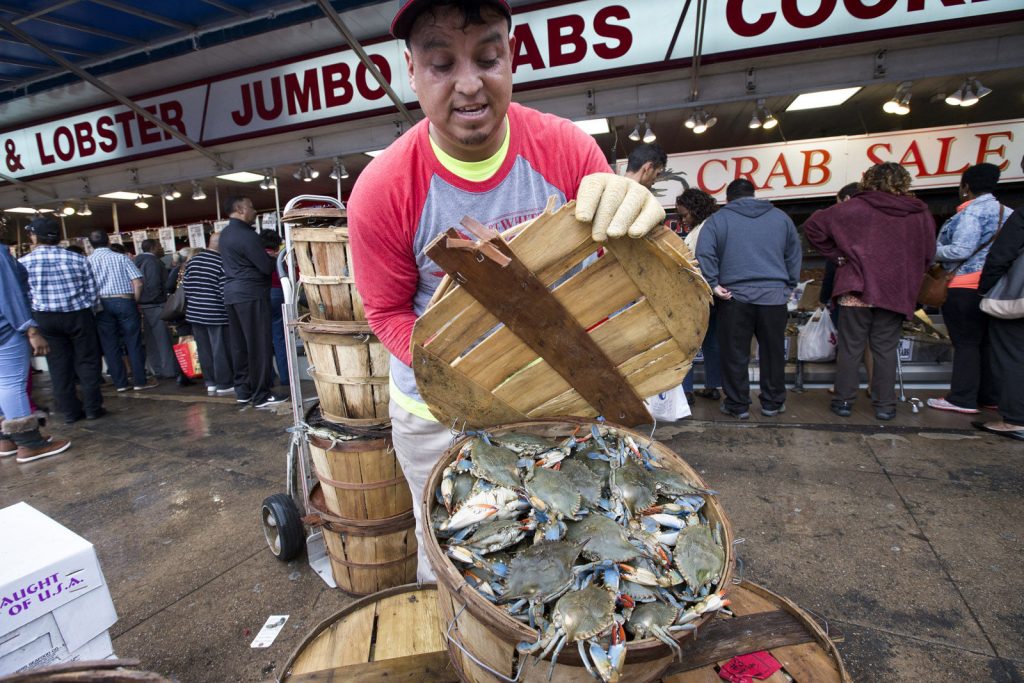 Purveyor at The Wharf shows off bushel of crabs