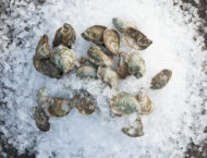 Oyster Roast photo