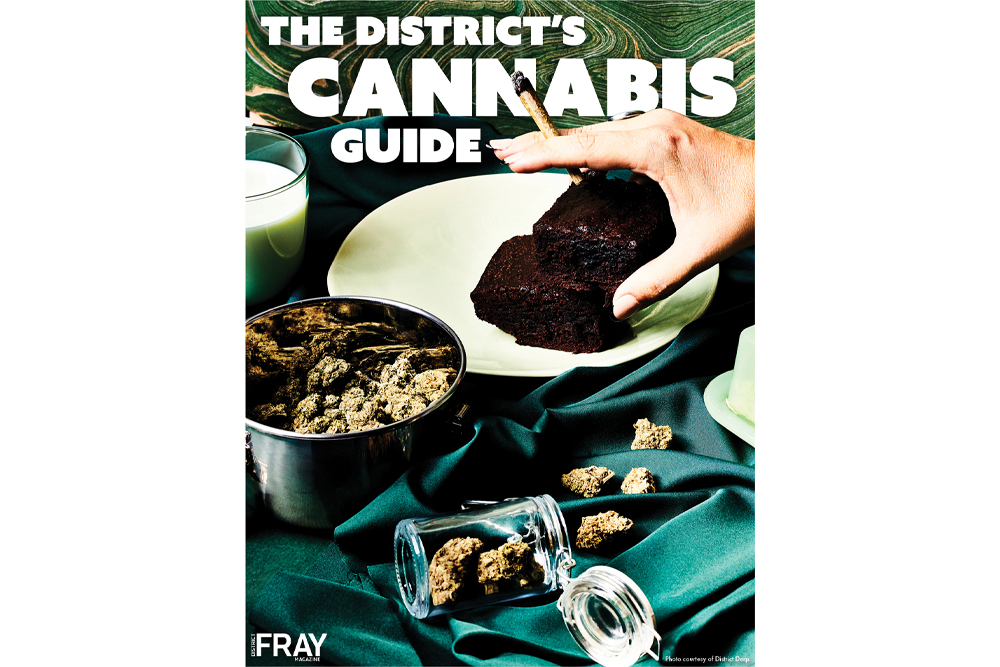 Cannabis Guide Cover