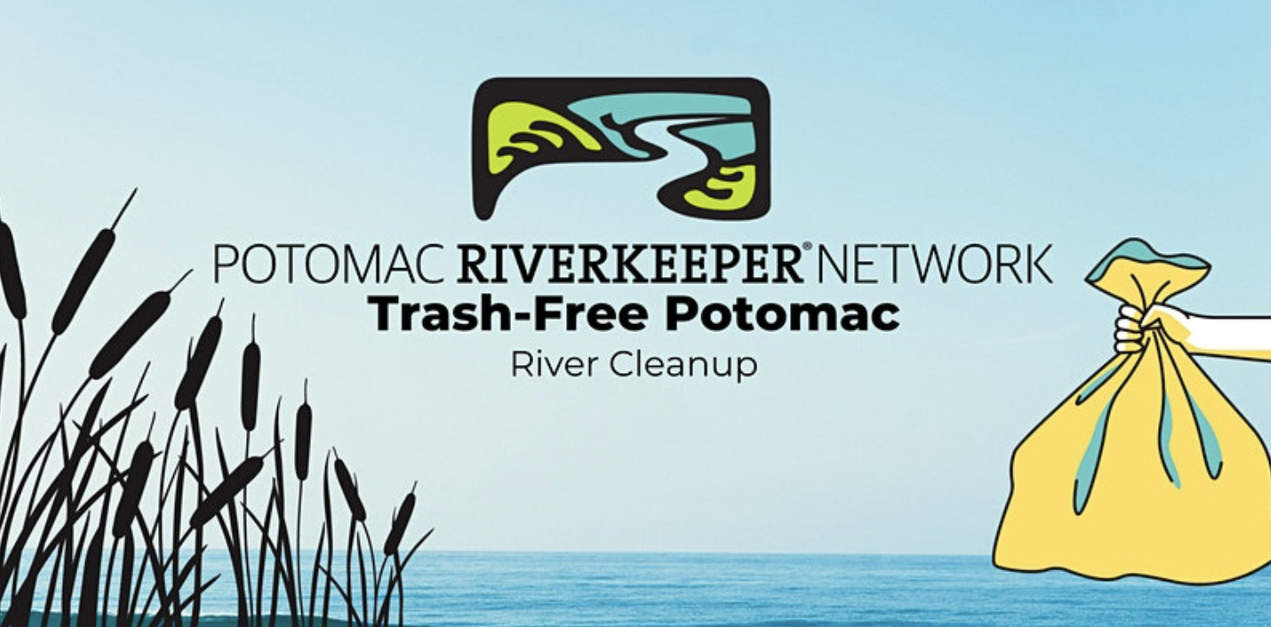 Stand-up Paddle Cleanup at Belle Haven Marina 7.3