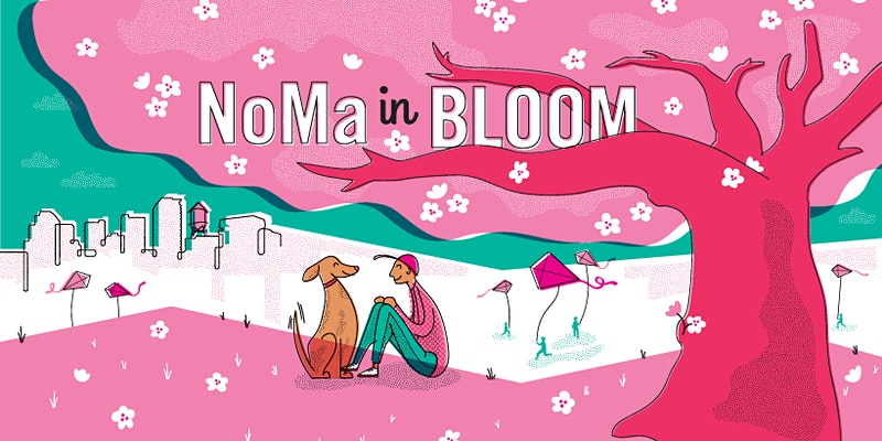 NoMa in Bloom Celebration: Kite Day at Alethia Tanner Park