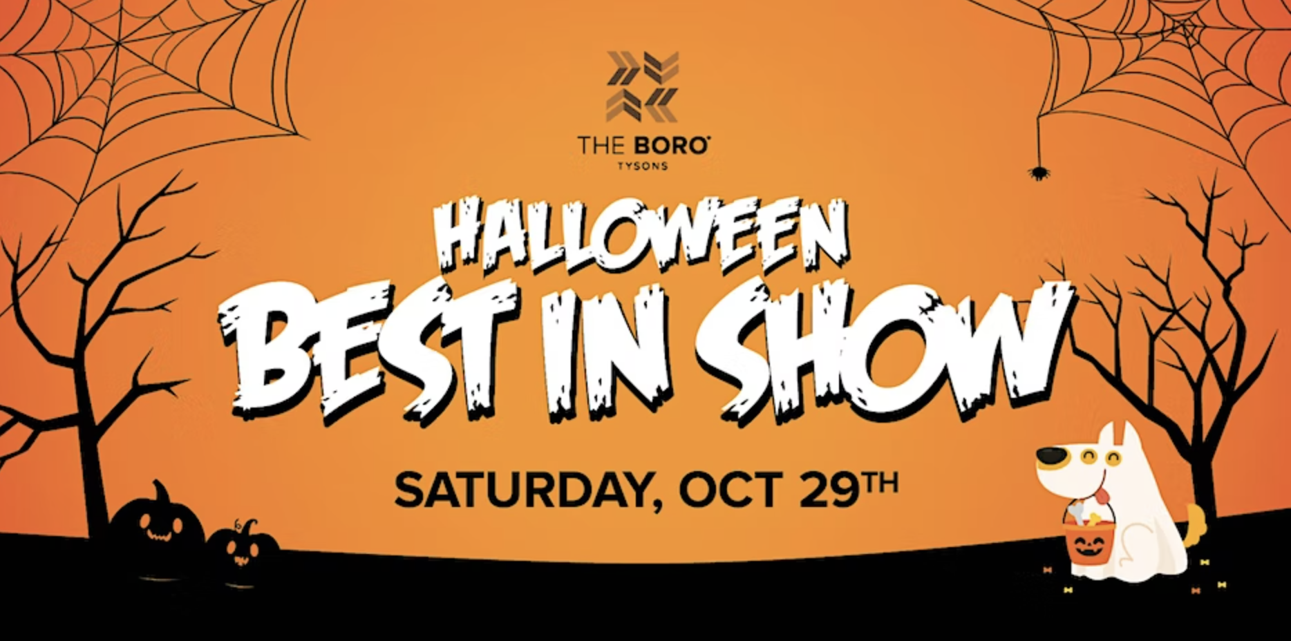 Best in show: Halloween dog costume contest and spooky celebration