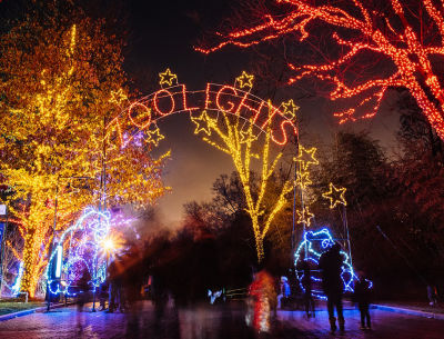 Radar: To Do in D.C. 12.22-12.25