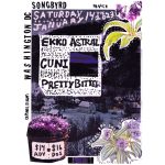 The Rise Of Ekko Astral A Self Appointed Empire - k7llh3a
