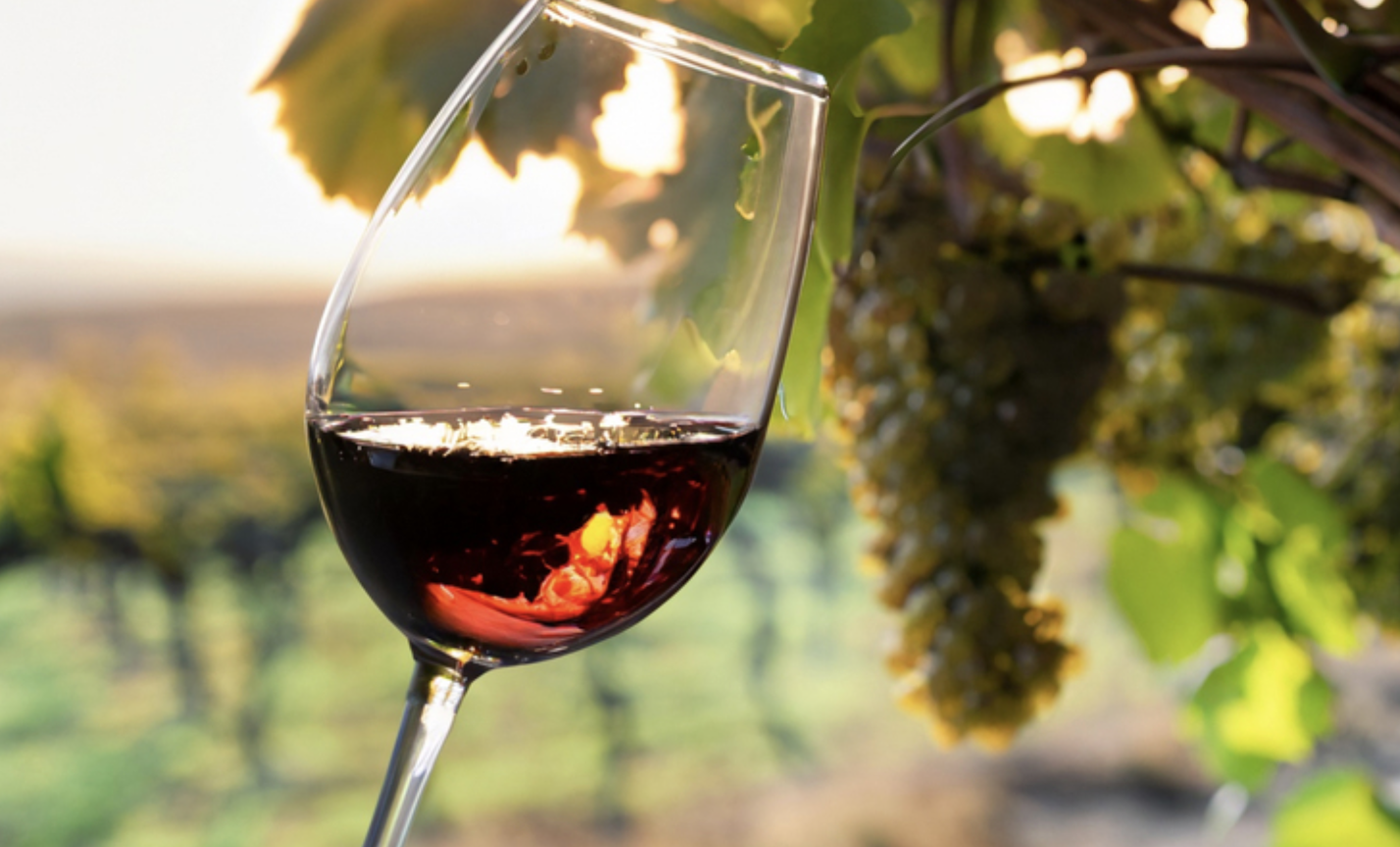 “Natural Wines” Wine Tasting