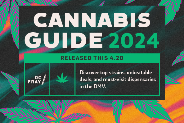 Cannabis Guide 2024