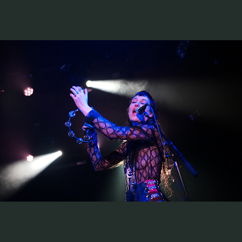Recent Photos Taken by Chris Chen