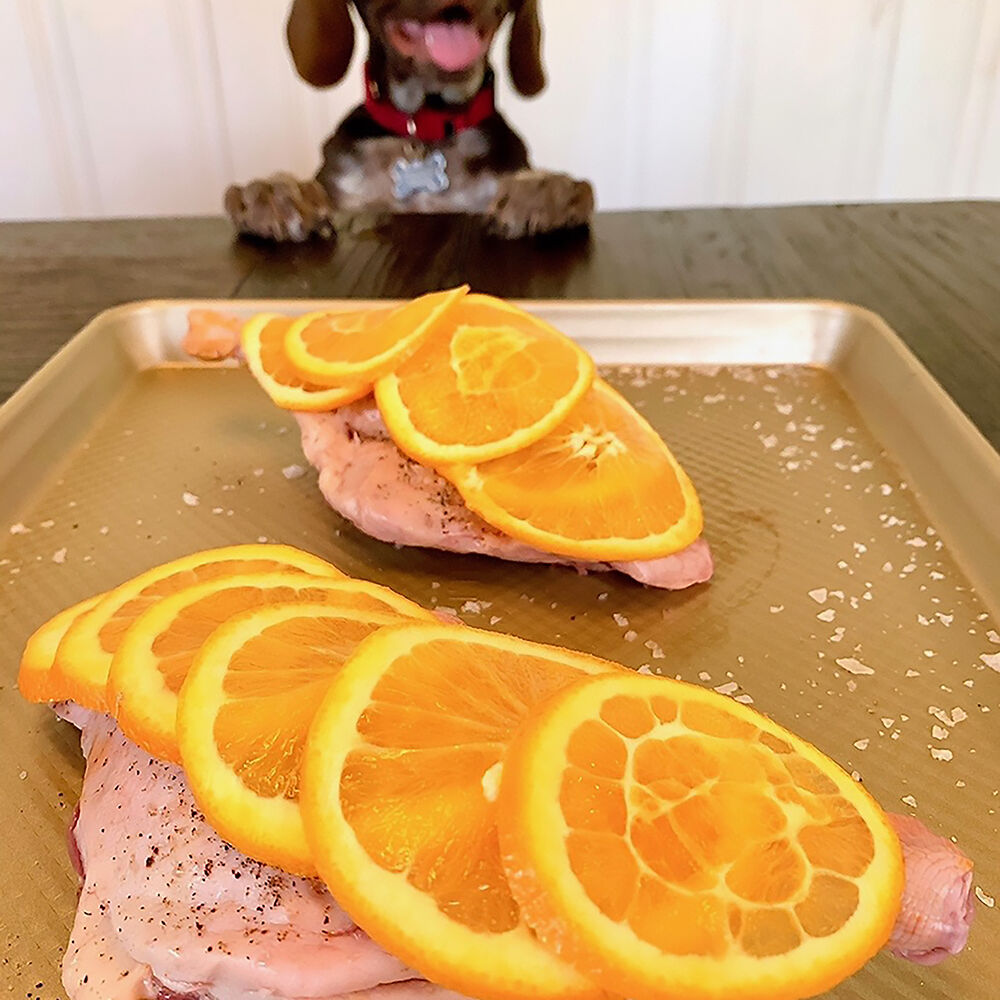 Salmon & pup by Paul Taylor, founder of the Get a Hero Be a Hero pop-up. Salmon & pup by Paul Taylor, founder of the Get a Hero Be a Hero pop-up.