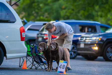 The Boro Drive-In Movie Series. LAFlicks-Photography