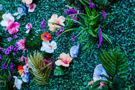 Morris in Paradise. Photo by Andrew Williams III.